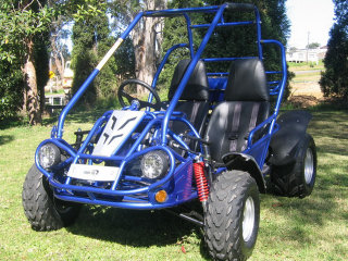 Hammerhead Go Kart Buggy
